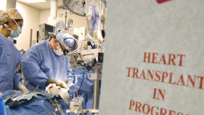 Doctors doing a heart operation with a sign saying Heart Transplant in Progress
