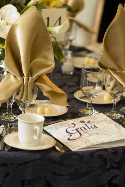 Highland Hospital Gala