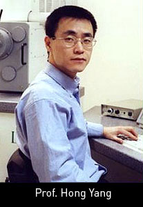 Yang photo