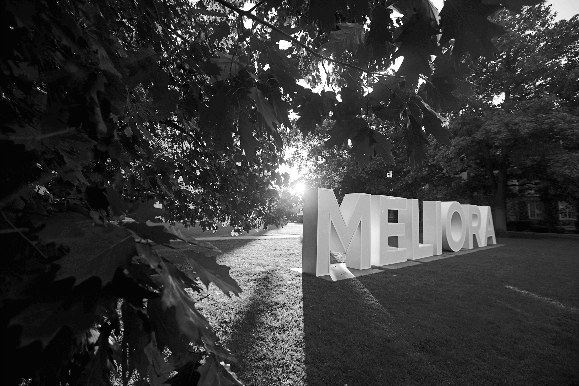 black and white image of the large MELIORA letters in the quad
