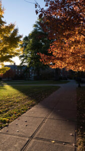 October month mobile download, autumn trees along the sidewalk