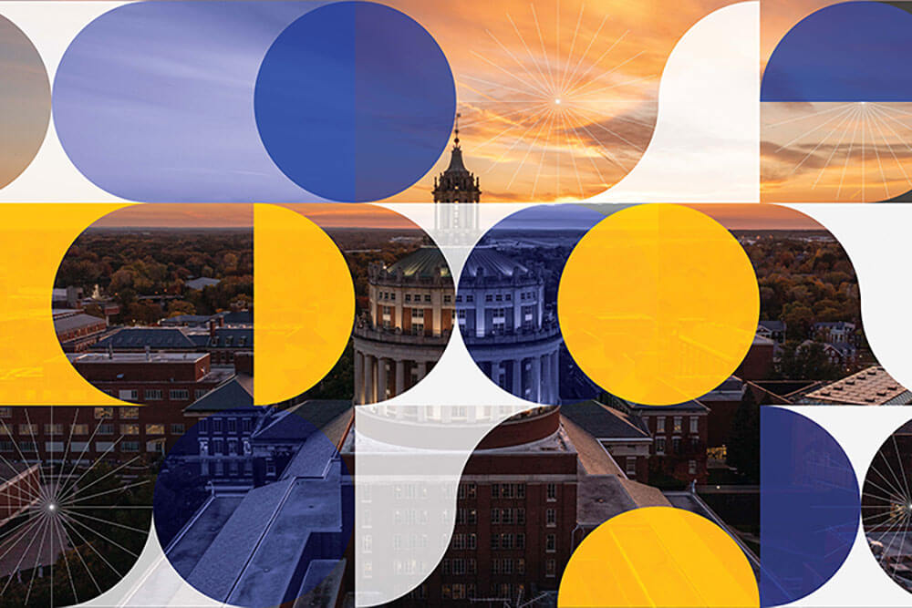 Rush rhees in background of a blue, yellow, and white pattern.