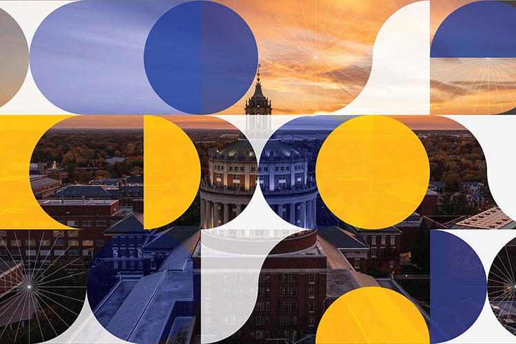 Rush rhees in background of a blue, yellow, and white pattern.