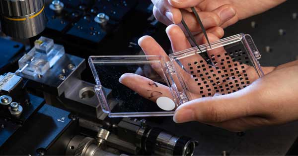 microchips being moved by tweezers to microscope