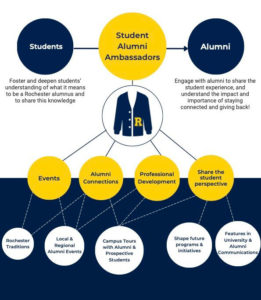 what do saas do infographic