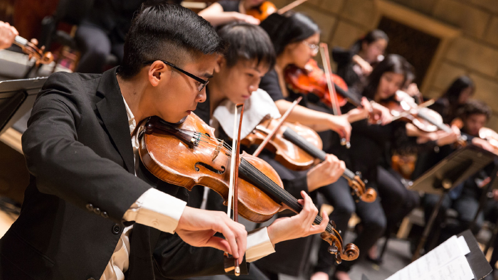 A row of violinists performing in an orchestra