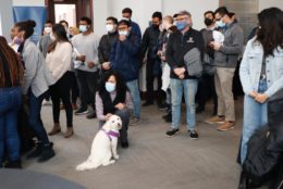 a group of people gathered wearing masks with a white dog in the foreground