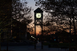 clock tower among trees at dusk