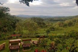 four wooden chairs overlooking lush green landscape