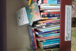 littlefreelibrary.org box full of books