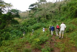 group of UR alumni on a hike in the jungle