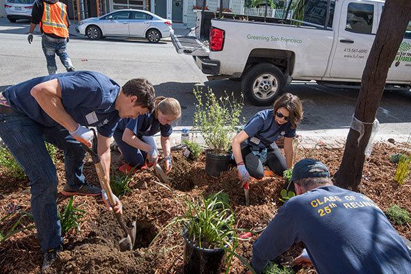 People digging soil to plant plants