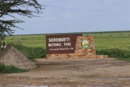 seregeti national park sign in front of a large open field of green