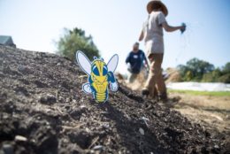 rocky cardboard cutout propped up in pile of dirt