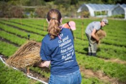 back of a woman working in the field