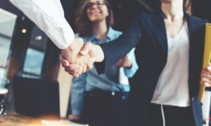 two people in business attire shaking hands