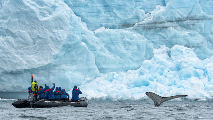 People on a raft boat watching a tail of a whale with glaciers in the background