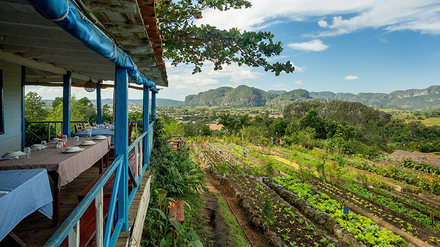 Deck overlooking field of agriculture