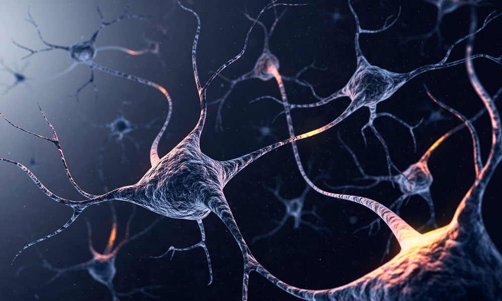 Neurons illuminated against a dark background, showcasing their intricate structures and connections.