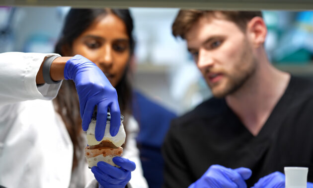 Two people in a dental lab, one wearing a white coat and the other wearing a blue lab coat, working on dental equipment.