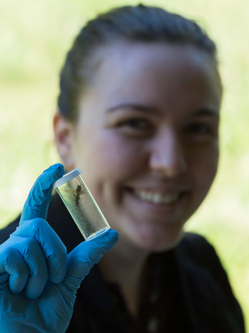 Eisabella Sherwood, wearing a black shirt and blue gloves, holds up a small piece of glass for display.