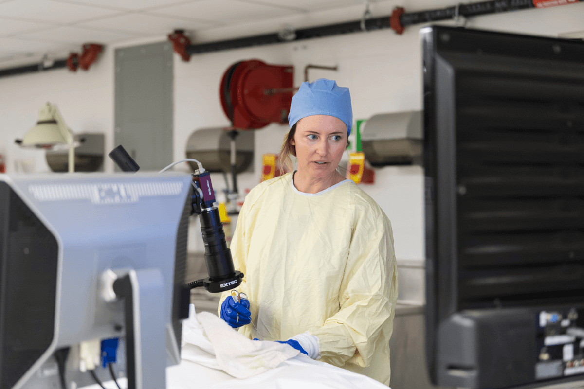 Faculty and medical students conduct research in a lab at the University of Rochester