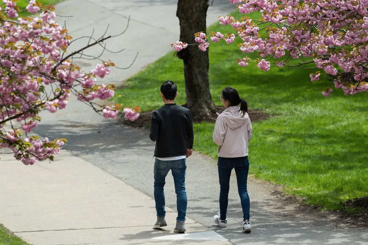 Students walking to class at the University of Rochester.