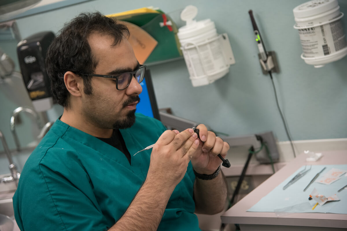 Medical staff works in a lab