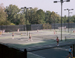 Varsityrm