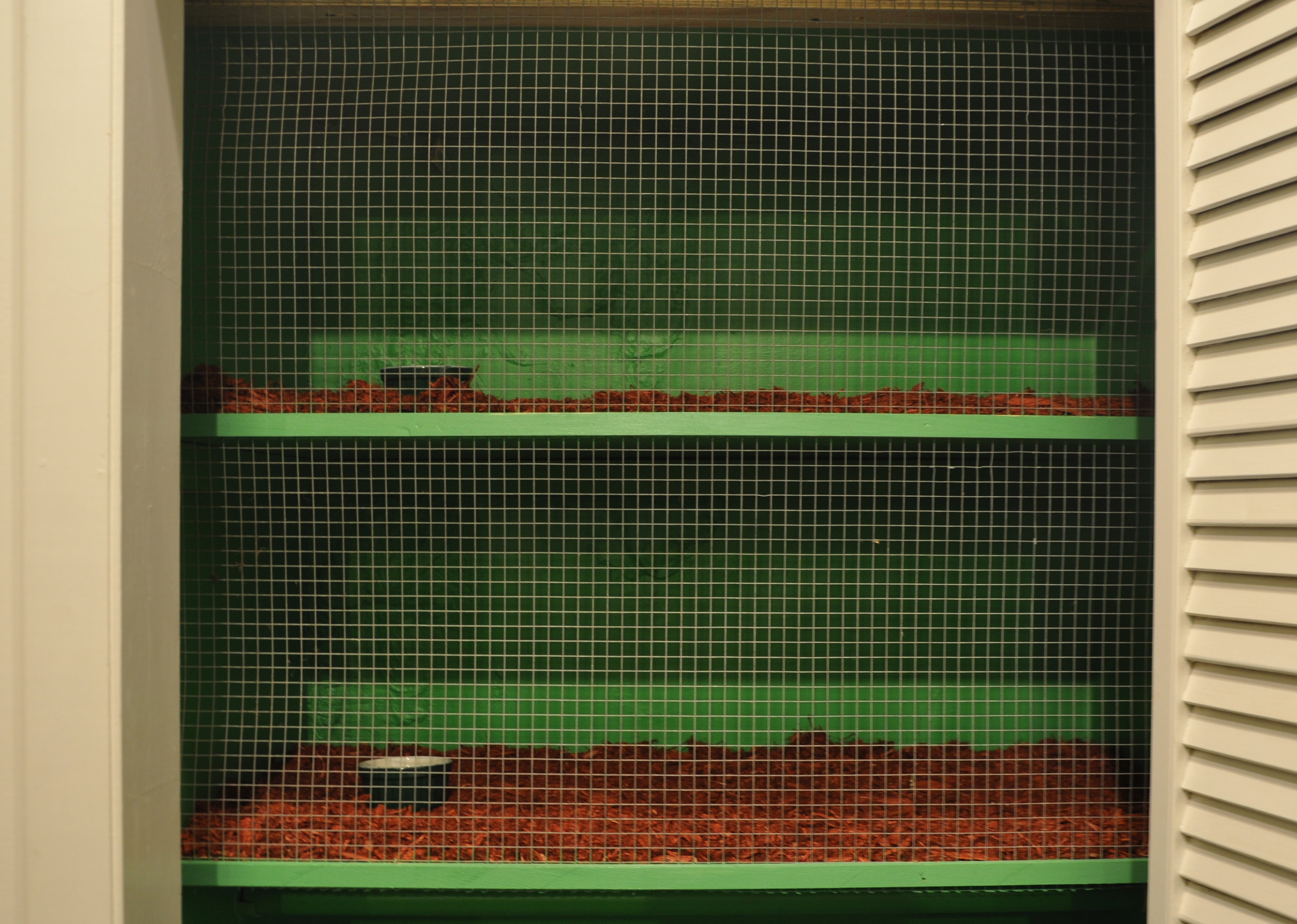 Closets made into rabbit hutches
