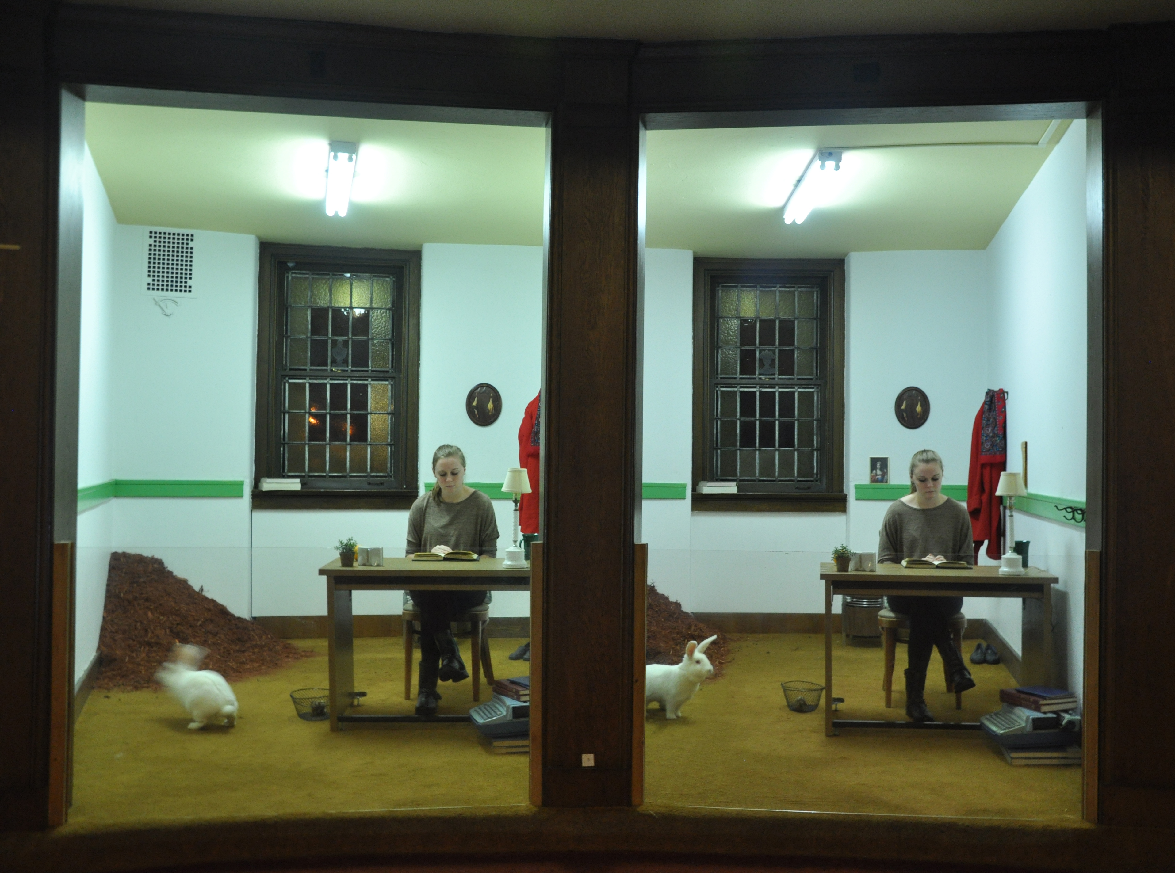 Adjacent rooms made identical with twin humans and rabbits