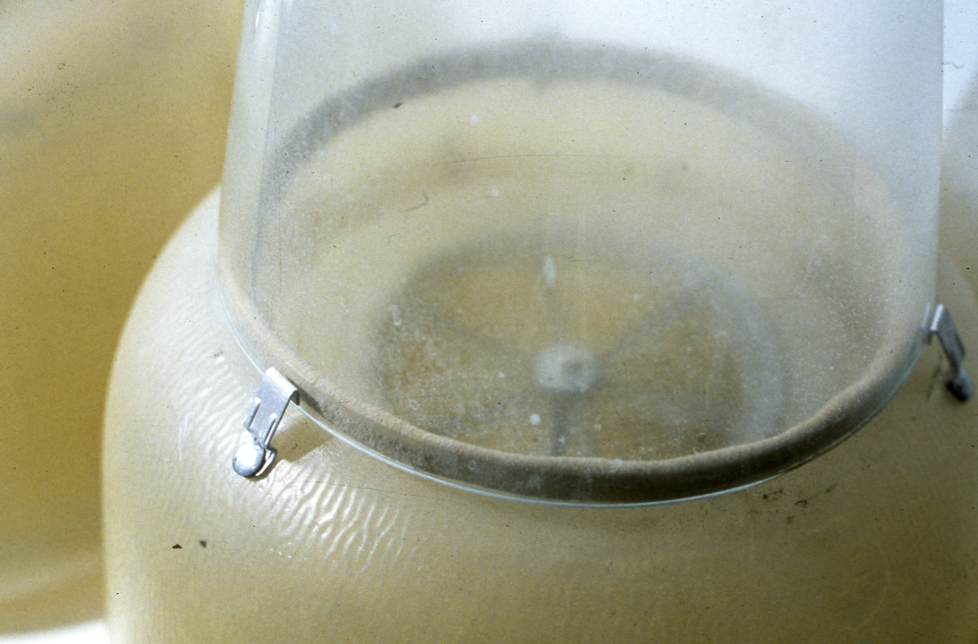 AppliancesfortheHome02