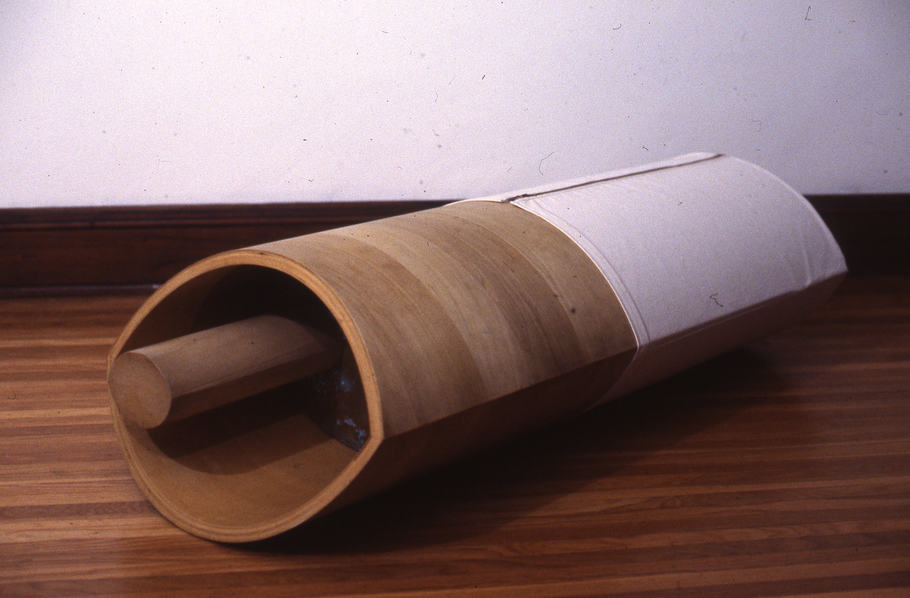 Ductule01