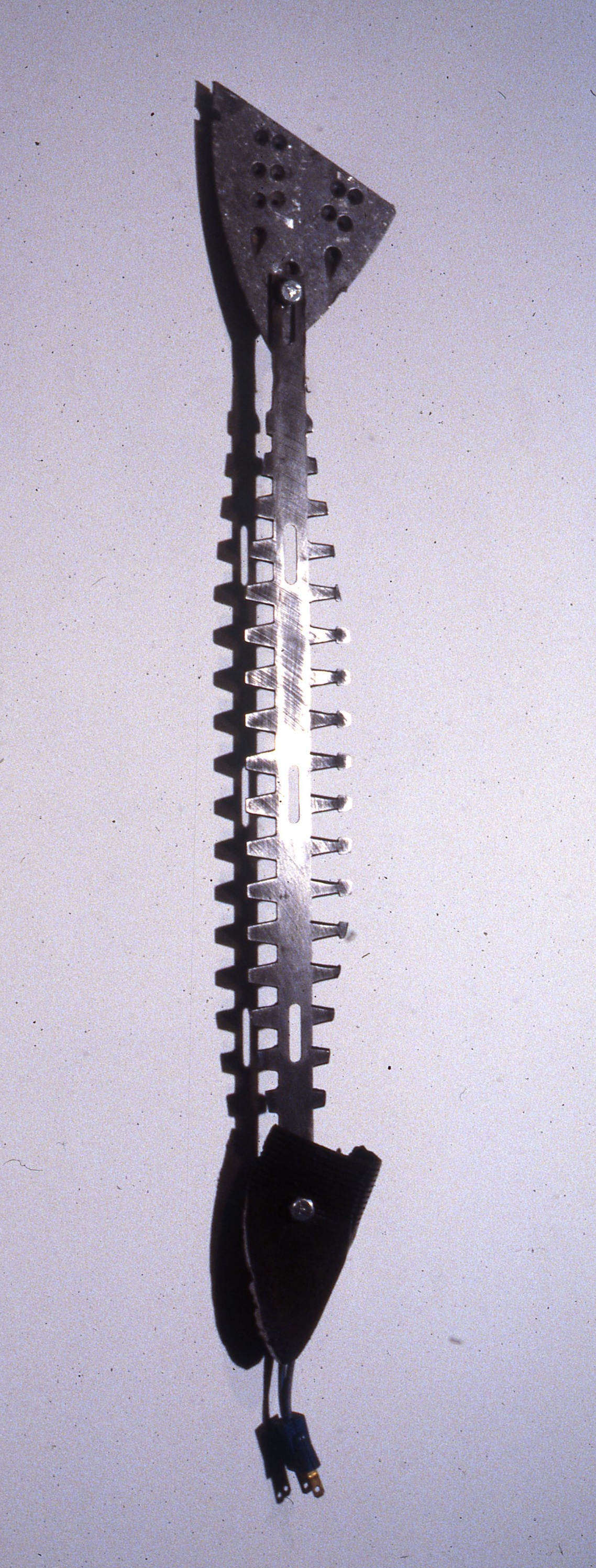 SalmoTruttaElectra