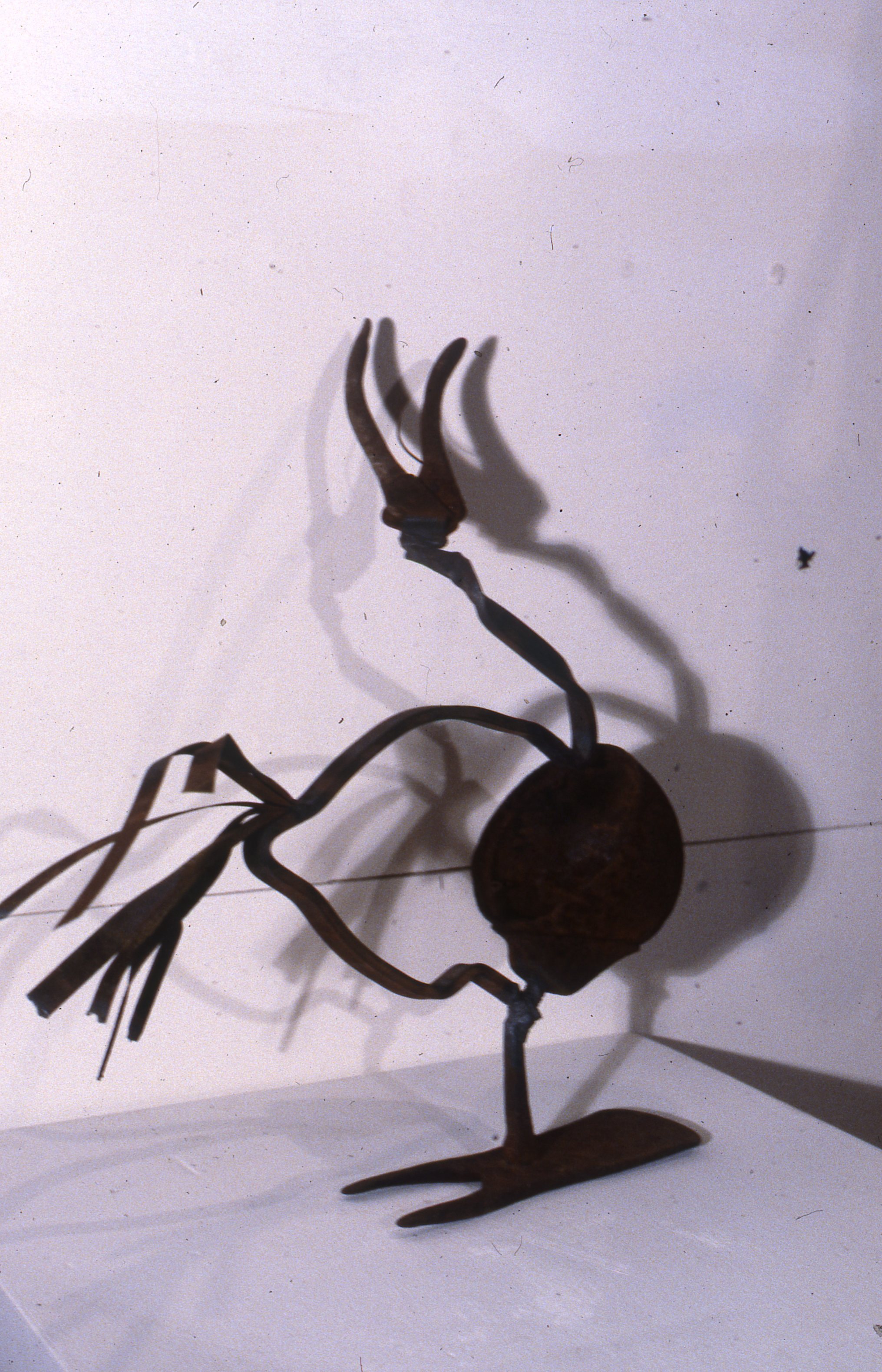 ScreechingBird