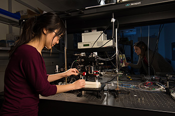 A student working in a lab