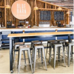 Stools and a bar.