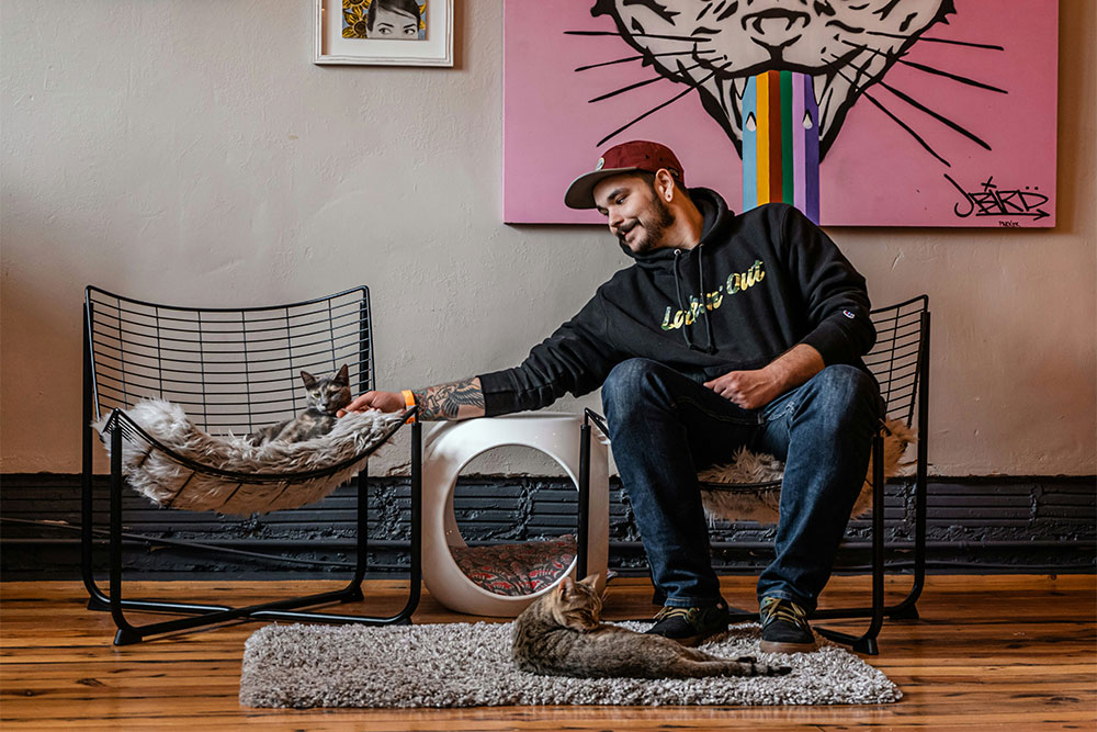 A person reaching towards a cat sitting in a chair with another cat lying on a rug in front of them.