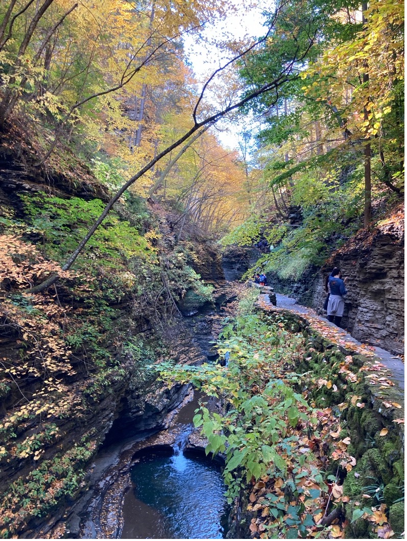 The gorge path at Watkins Glen.