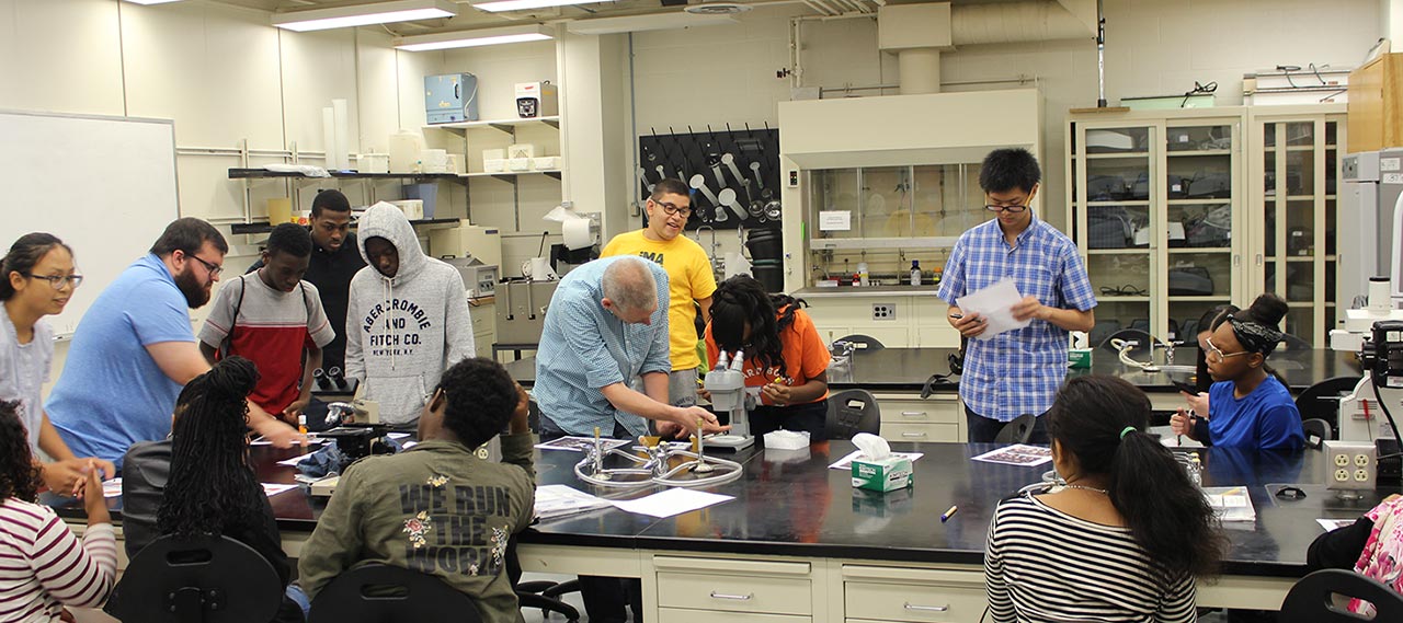 Students learning about science.