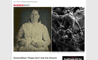 Web Image