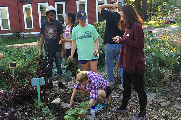 A group of University students working in a garden.
