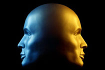 Mirrored Heads