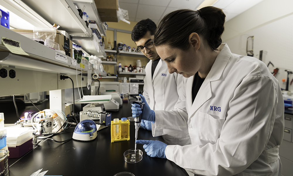 A student wearing a lab coat using a pippette in a petri dish while another student looks on.