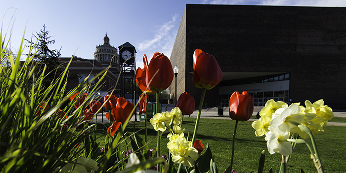 Wilson Quad