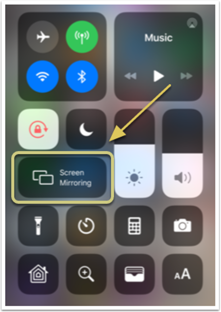 A screenshot of the screen mirroring button.