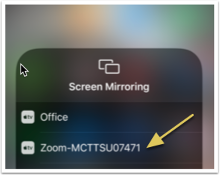 A screenshot of the Zoom option.