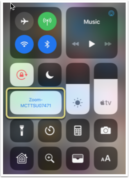 A screenshot of the meeting connection.