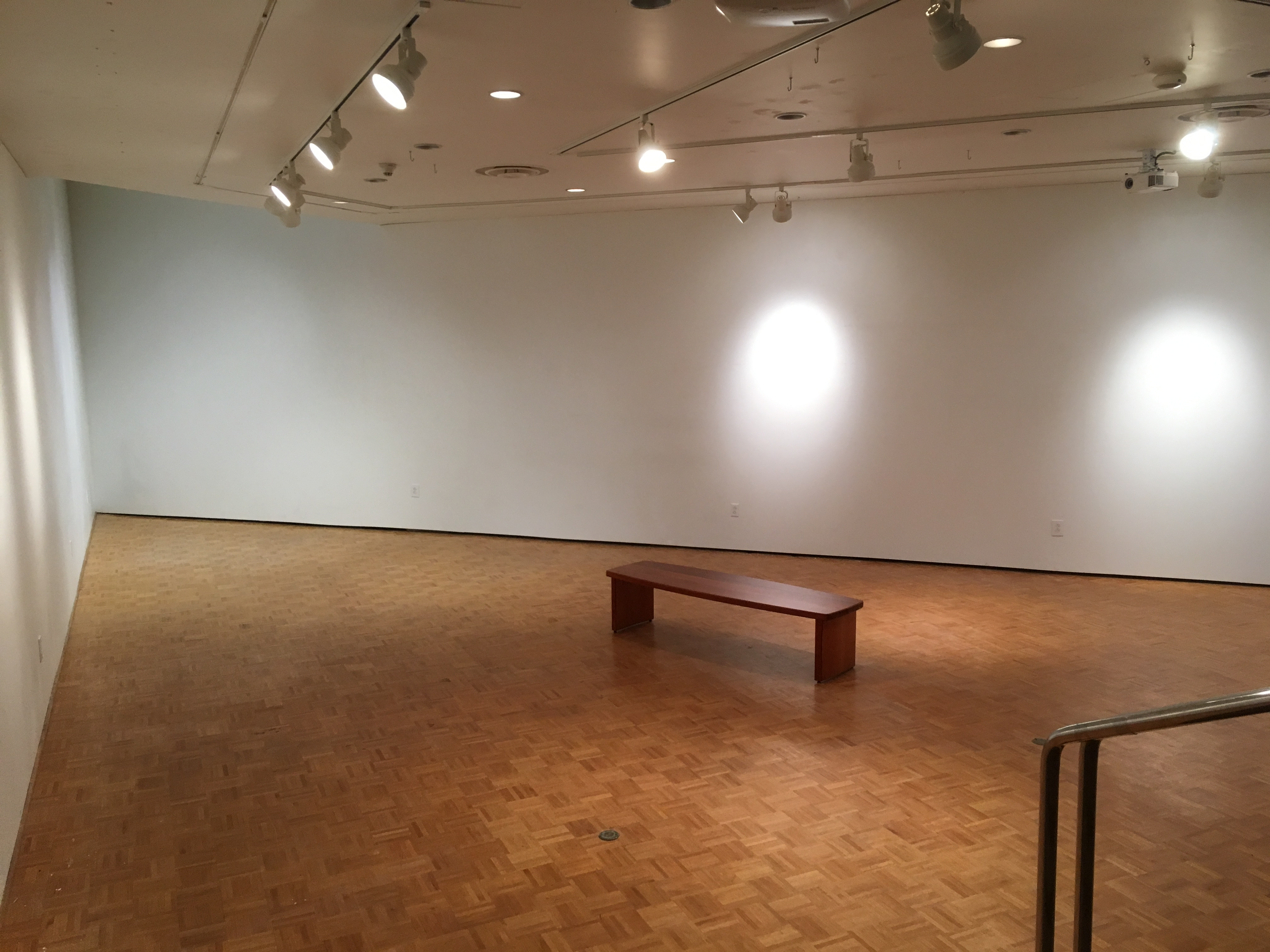 Empty Hartnett gallery take from the entrance platform