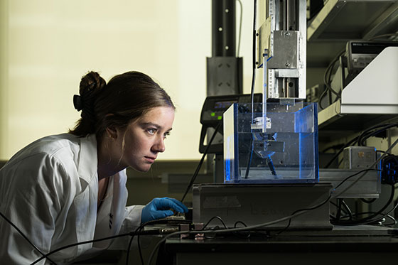 A researcher in a white lab coat looks into a clear box filled with blue light.